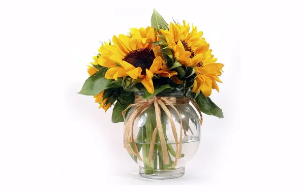 Sunflowers, bouquet, vase