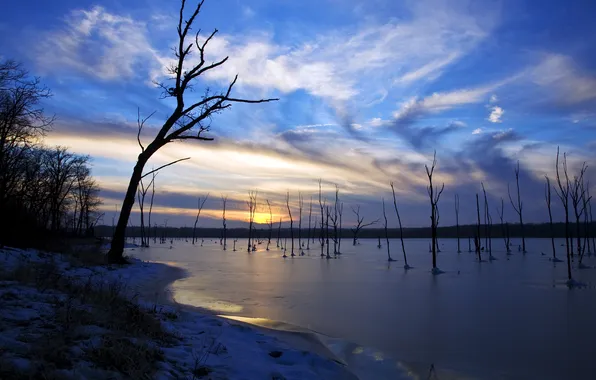 The sky, branches, nature, lake