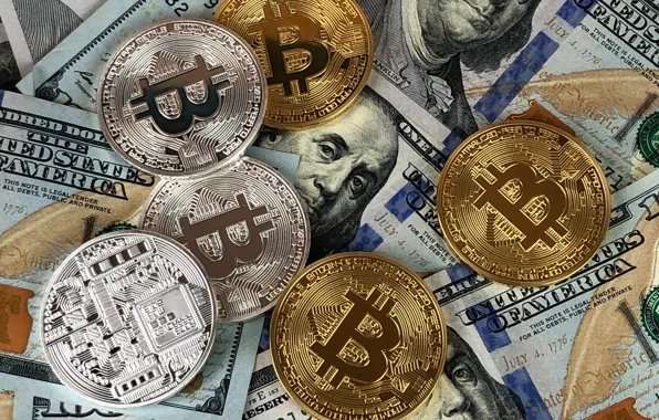 Picture blur, dollar, coins, dollar, bitcoin, bitcoin, btc