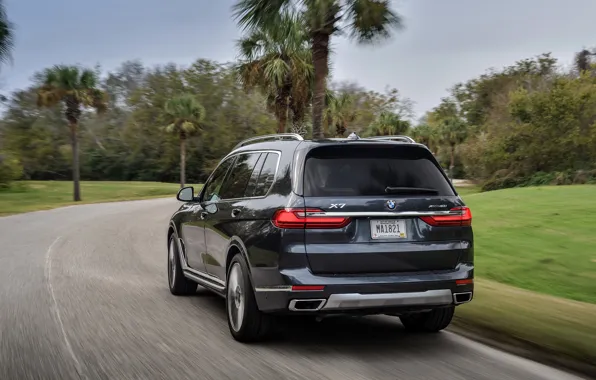 Picture trees, BMW, back, 2018, crossover, SUV, 2019, BMW X7