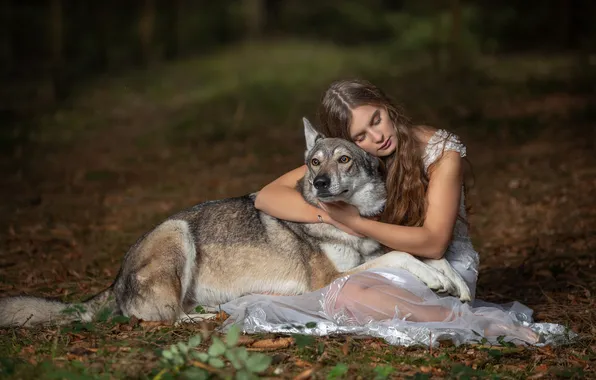 Forest, girl, pose, glade, wolf, dog, fantasy, sitting