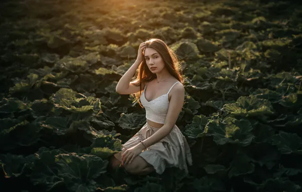 Picture field, look, girl, light, pose, model, hair, figure