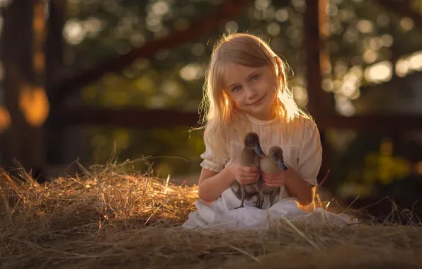 Light, blonde, hay, girl, straw, ducklings, Chicks, the goslings