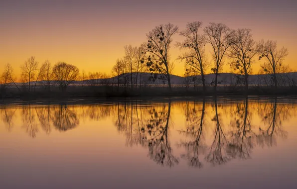Trees, sunset, lake, glow, atrazine