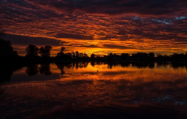 The sky, landscape, sunset