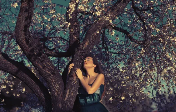 Picture girl, face, tree, dress