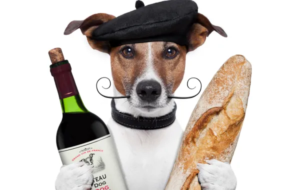 Picture mustache, wine, bottle, dog, humor, paws, bread, white background