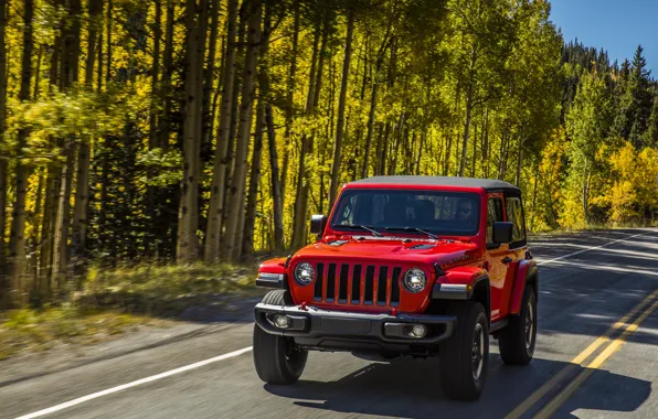 Picture road, greens, trees, red, markup, roadside, 2018, Jeep