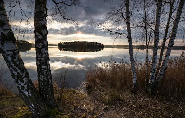 Forest, the sky, grass, the sun, clouds, rays, trees, river