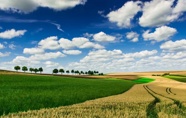 Field, the sky, clouds, trees, horizon, farm