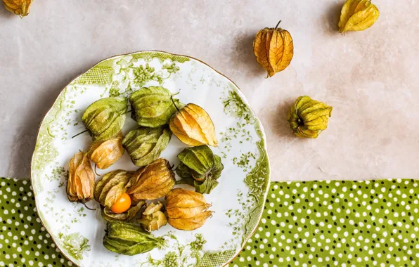 Plate, fabric, physalis