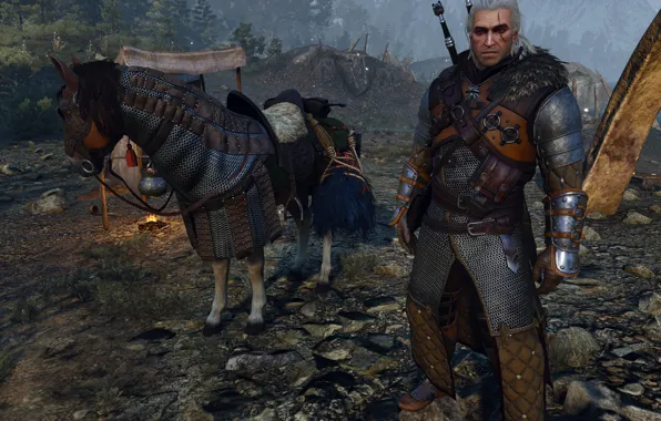 The Witcher 3, roach, skellige, armor of the bear