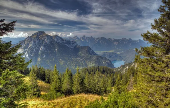 Forest, trees, mountains, lake, ate, The Bavarian Alps