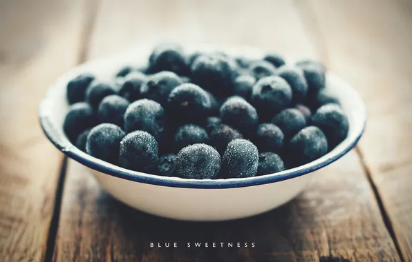 Picture blueberries, photographer, photography, photographer, Björn Wunderlich