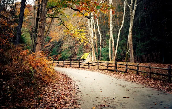Road, autumn, forest, leaves, trees, nature, house, foliage