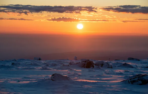 Winter, sunset, nature