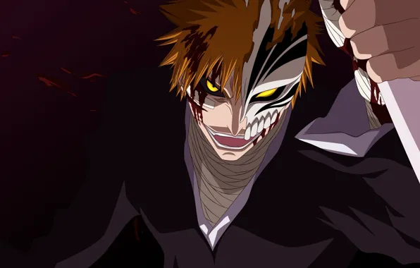 Bleach, Bleach, Ichigo Kurosaki