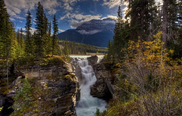 Forest, trees, mountains, nature, river, waterfall