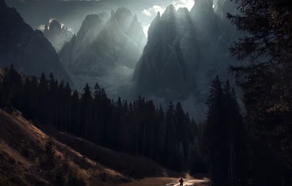Road, forest, light, mountains, people