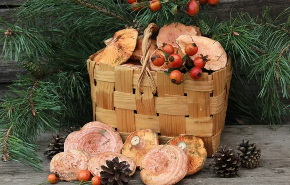 Wallpaper mushrooms, briar, bumps, basket, mushrooms, pine