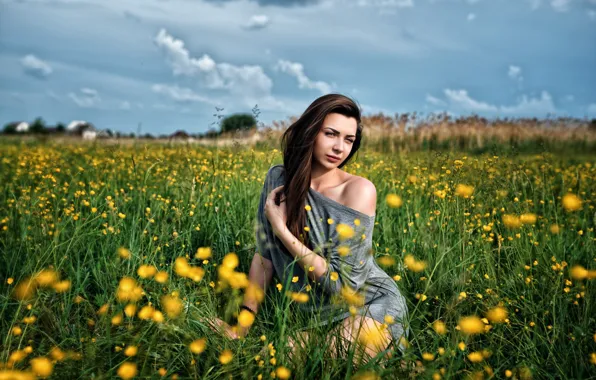 Picture field, grass, look, the sun, flowers, pose, model, portrait