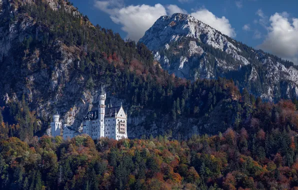 Autumn, forest, mountains, castle, Germany, Bayern, Germany, Bavaria