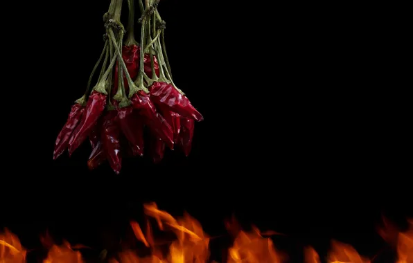 Lights, food, pepper