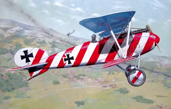 Germany, Fighter, Biplane, The German Empire, Air forces, Fighter-scout, Albatros D. III