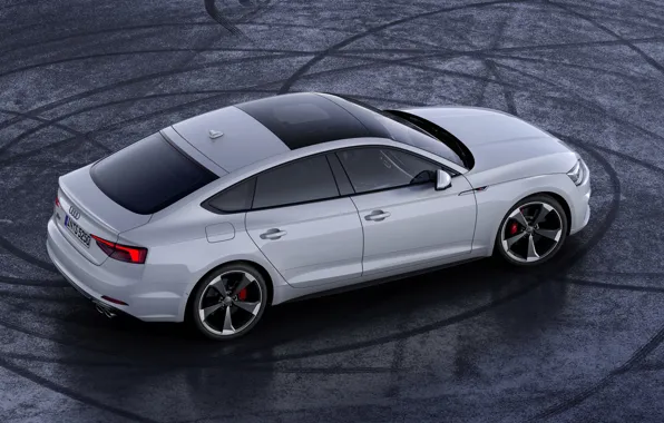 Picture Audi, Audi A5, Sportback, 2019, S5 Sportback