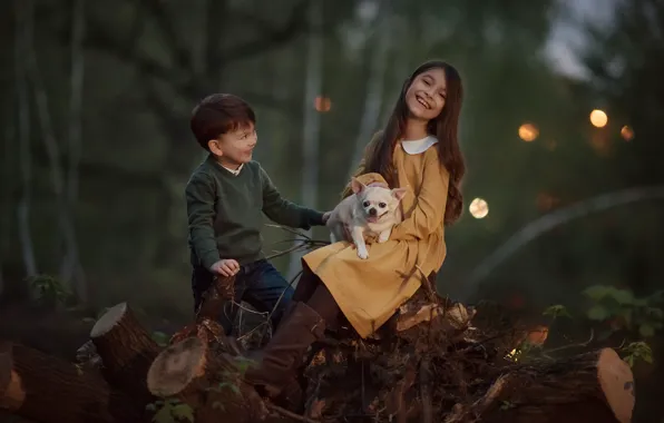 Forest, joy, nature, children, animal, dog, boy, girl