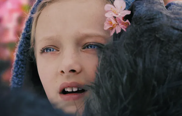 Cinema, girl, monkey, flower, Nova, movie, film, kid