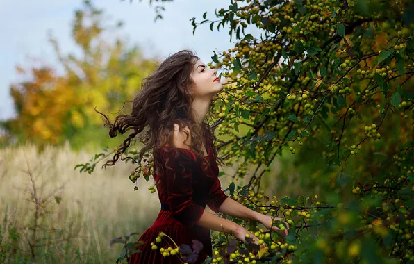 Leaves, nature, hair, dress, fruit, girl