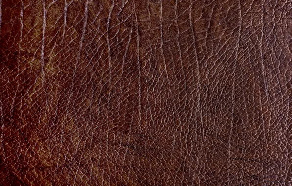 Background, texture, leather, texture, brown, brown, background, leather