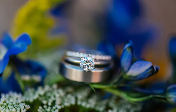 Flowers, stone, ring, wedding, blue petals