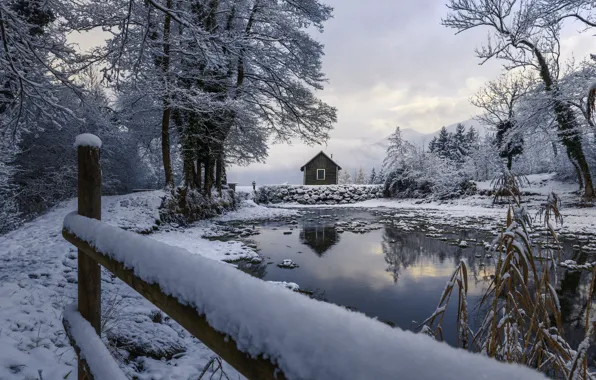 Winter, frost, forest, snow, trees, nature, lake, reflection