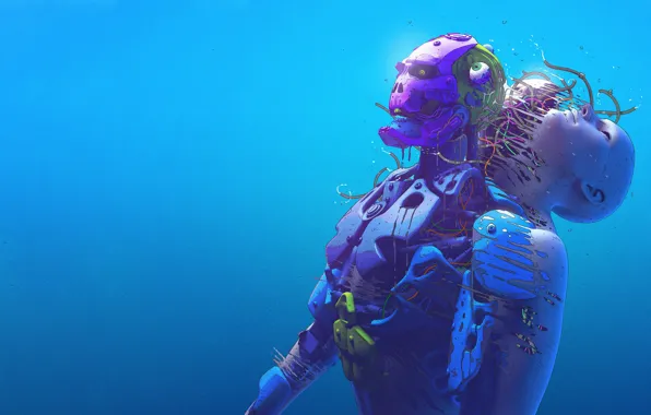 Fantasy, Sake, Illustration, Skin, Cyborg, Cyberpunk, Mecha, Nick Sullo