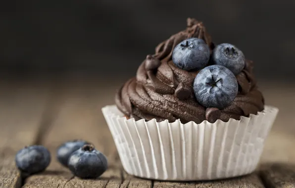 Picture cupcake, blueberries, tasty