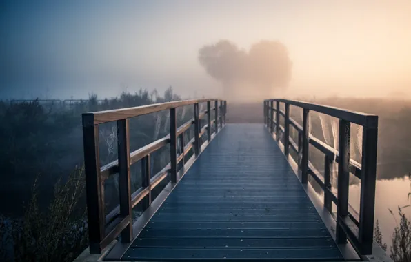 Bridge, fog, river, morning