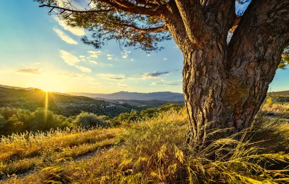 Summer, the sky, grass, the sun, clouds, rays, light, mountains
