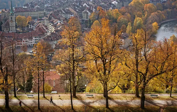 Autumn, trees, view, beauty, alley, Switzerland, Bern