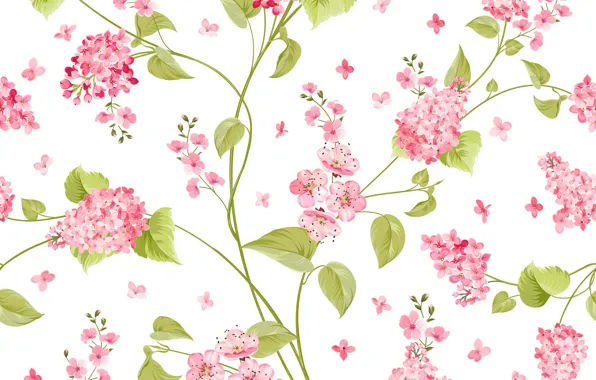 Flowers, pattern, vector, texture, white background, flower