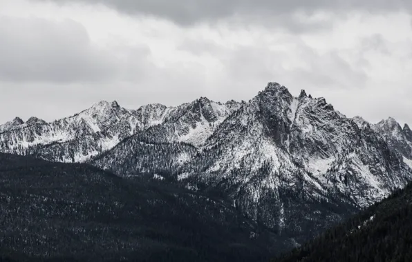 Picture winter, the sky, clouds, snow, trees, mountains, nature, rocks