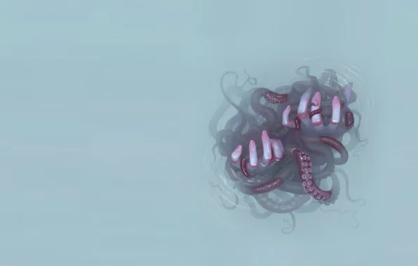 Octopus, fingers, grey background, sucker, horror, the tentacles