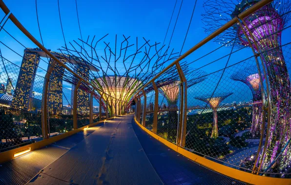 Picture bridge, design, the city, lights, Park, home, the evening, Singapore