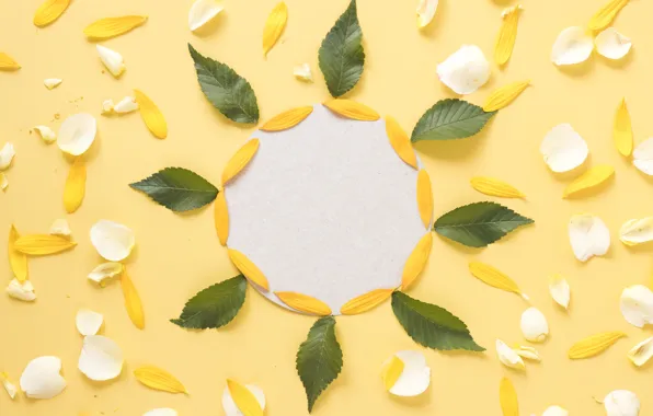 Leaves, yellow, background, petals, yellow, leaves, decor, petals