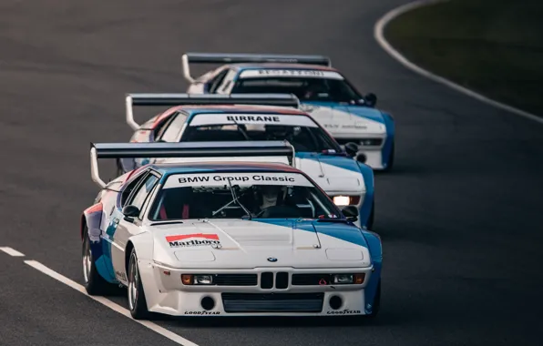 Picture BMW, E26, PROCAR