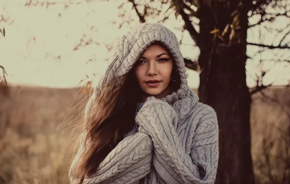 Picture autumn, girl, tree, brunette, hood, sweater