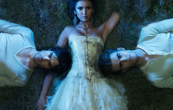 The series, Elena, The vampire diaries, Stefan, Damon