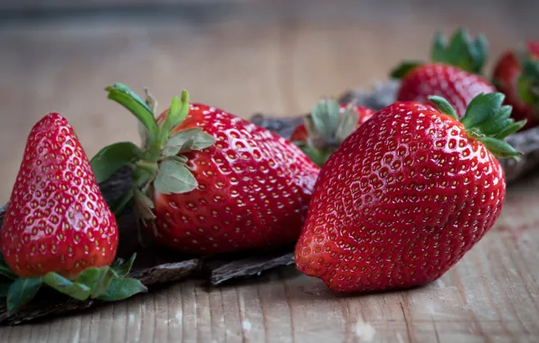 Macro, berries, table, food, strawberry, wooden, bark, photoshoot