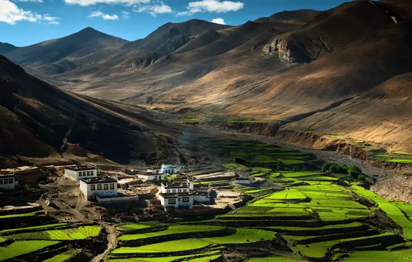 Mountains, China, village, houses, china, the Himalayas, Tibet, tibet